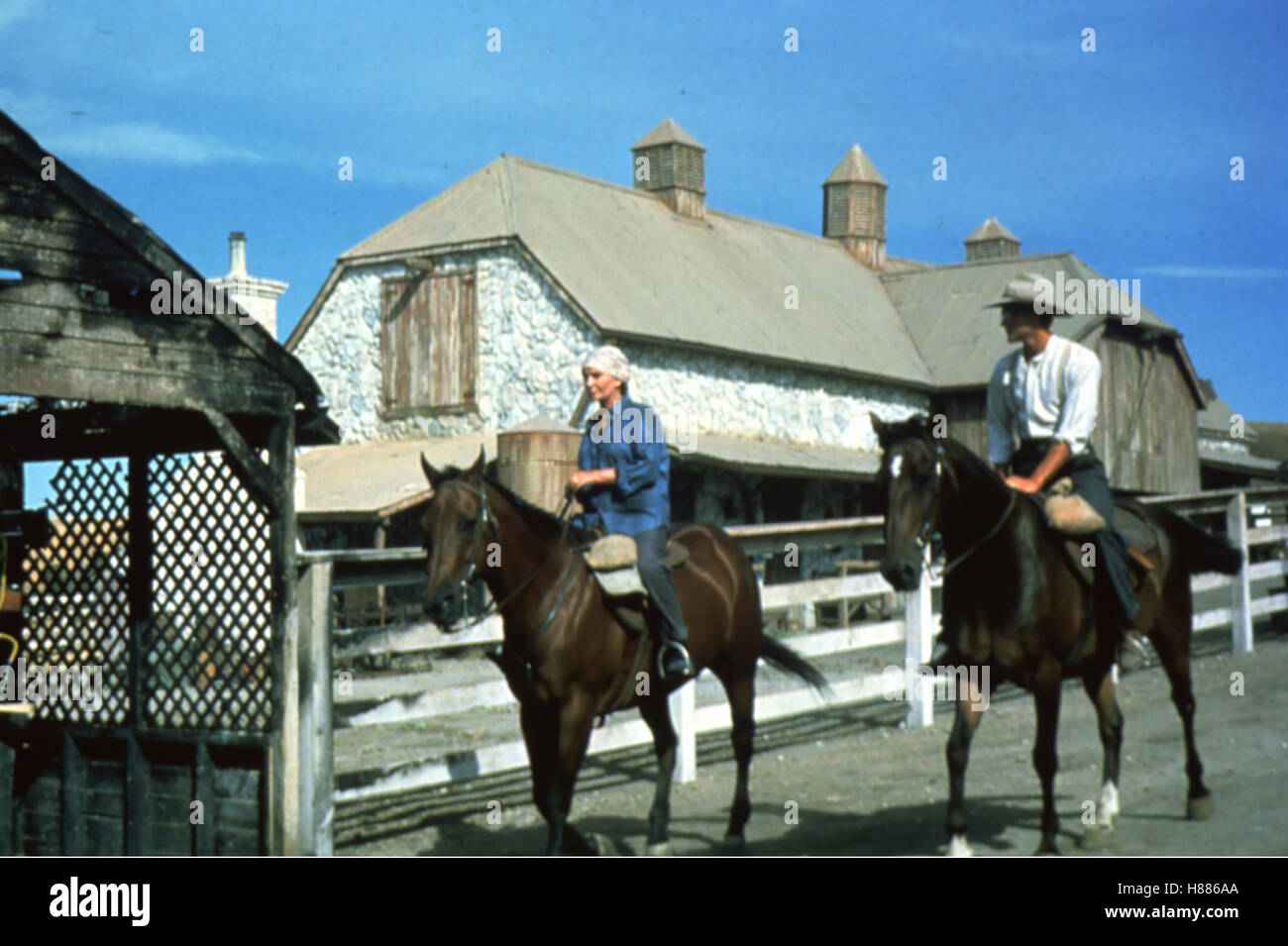 Die Dornenvögel, (uccelli di rovo), Serie TV USA 1982/1983, Regie: Daryl Duke, JEAN SIMMONS, DWIER BROWN, Stichwort: Agriturismo, Reiten, Pferde Foto Stock