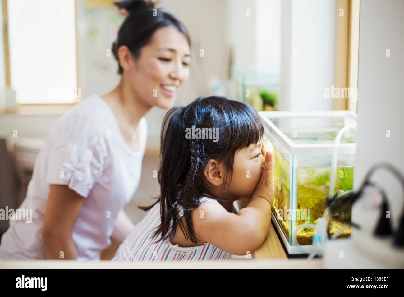 Casa di famiglia. Una donna e un bambino guardando il pesce in un pesce tropicale serbatoio. Foto Stock