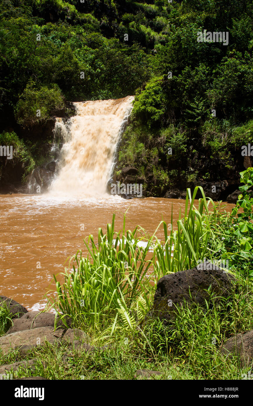 Il Waimea Falls dopo abbondanti piogge nella valle di Waimea su Oahu, Hawaii, Stati Uniti d'America. Foto Stock