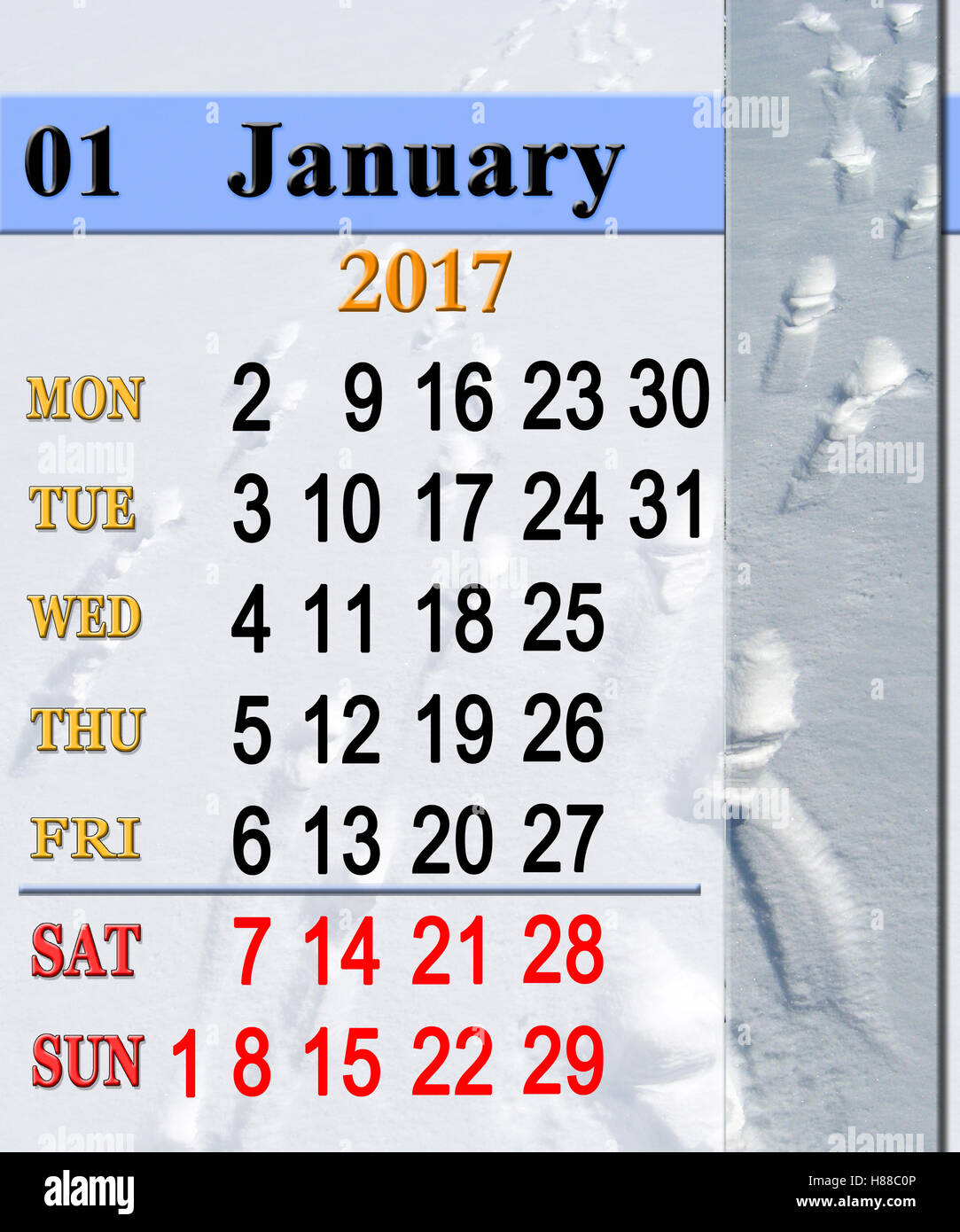 Bellissimo il calendario per il mese di gennaio 2017 con l'immagine verticale di tracce sulla neve Foto Stock