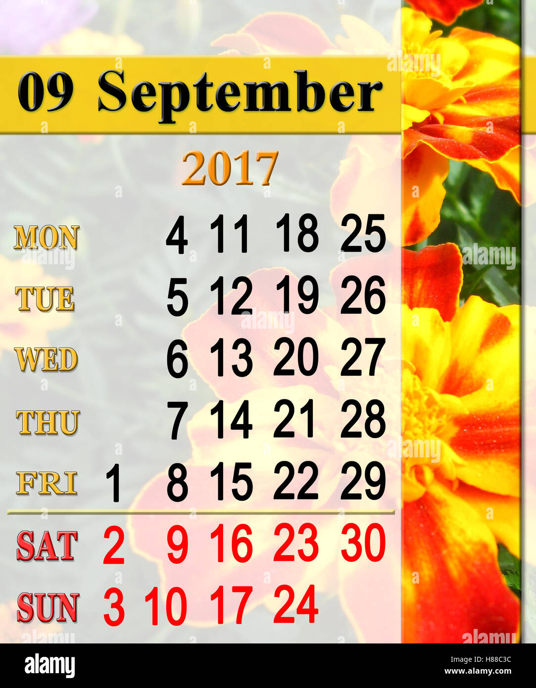 Calendario per il mese di settembre 2017 con immagine di fiori di Le calendule Foto Stock
