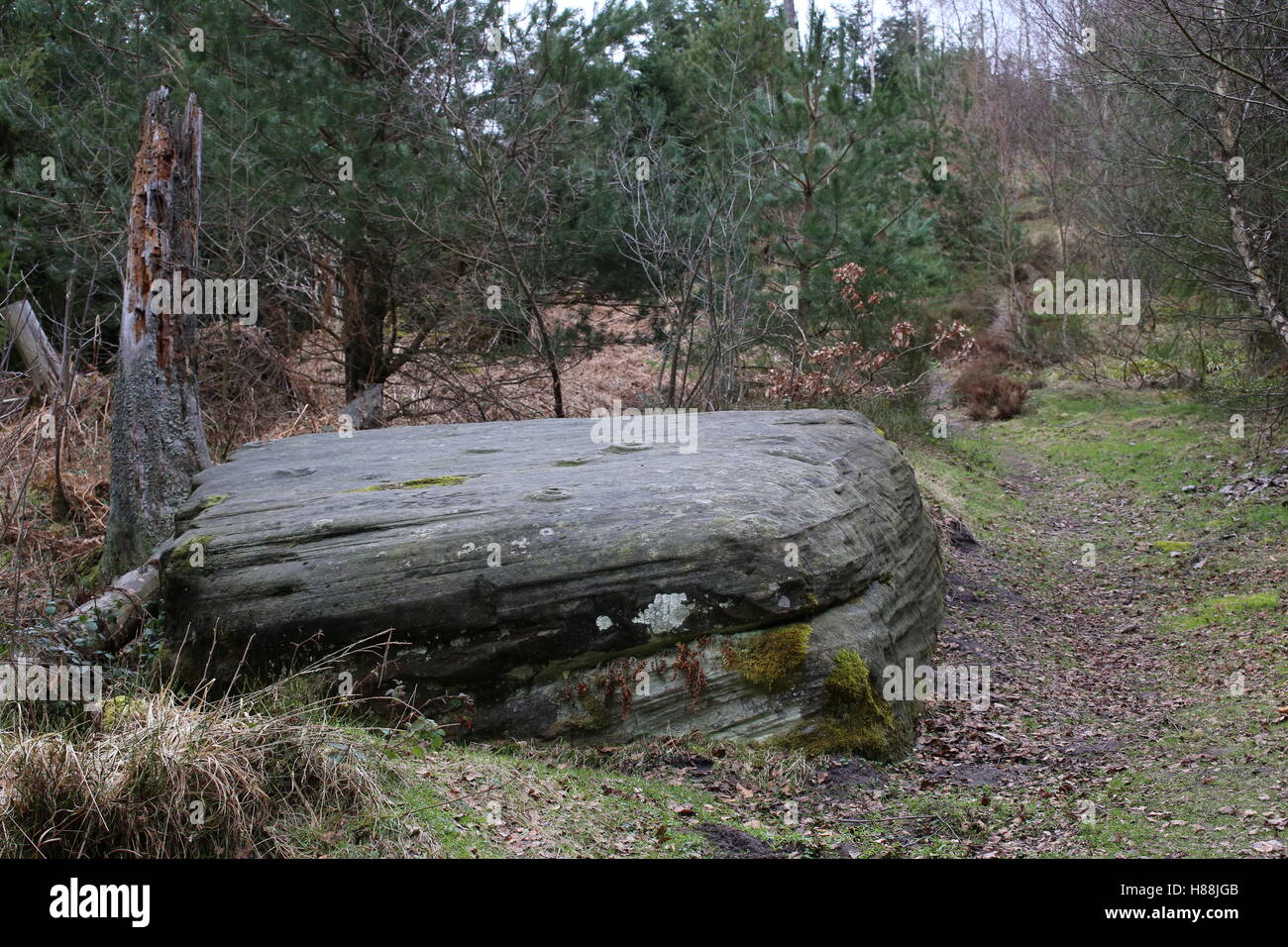 Mauzenstein, un antico rituale posto vicino a Bad Herrenalb, Baden-Württemberg, Germania. Foto Stock