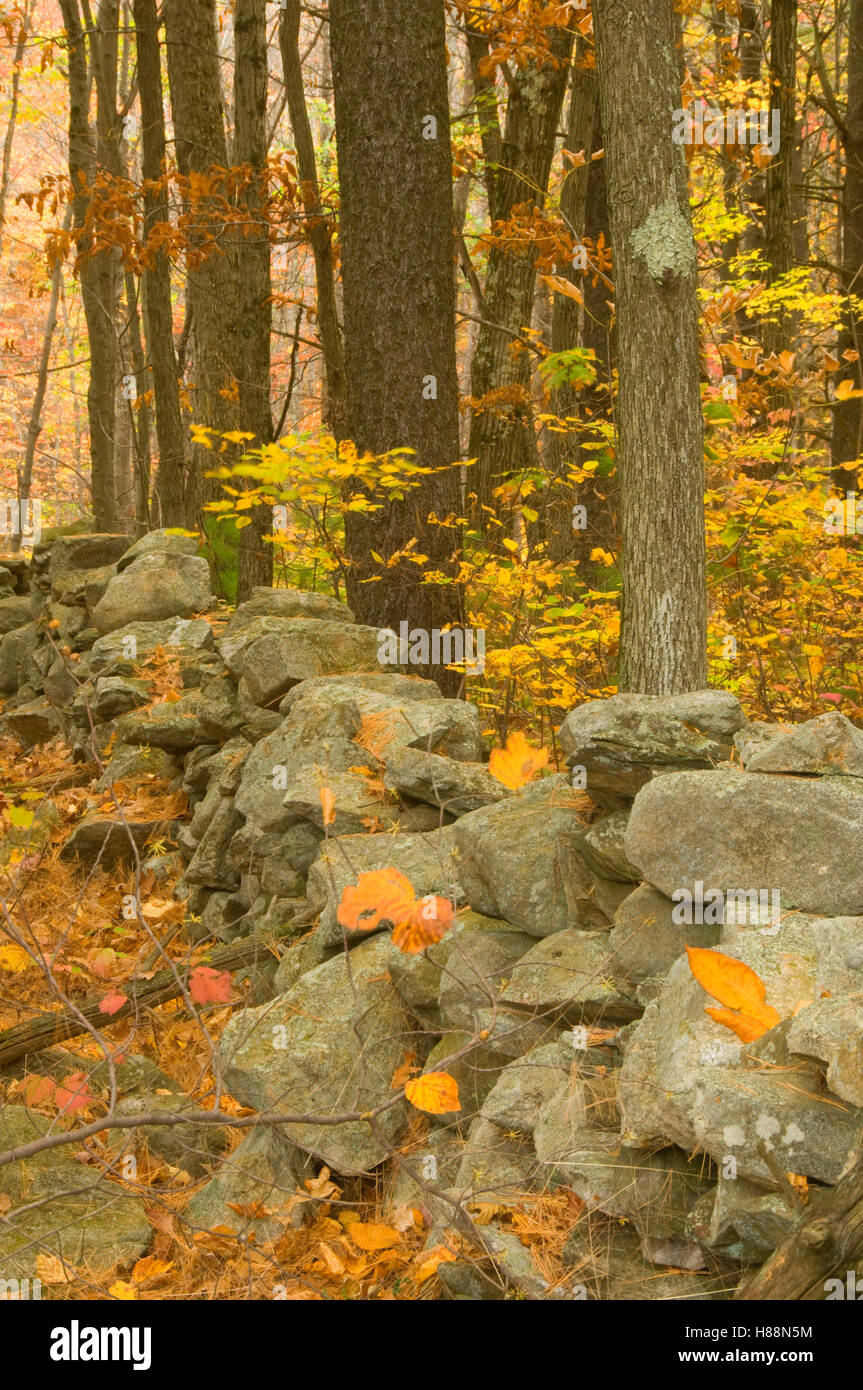 Rockwall, Robert Frost Farm sito storico dello Stato, New Hampshire Foto Stock