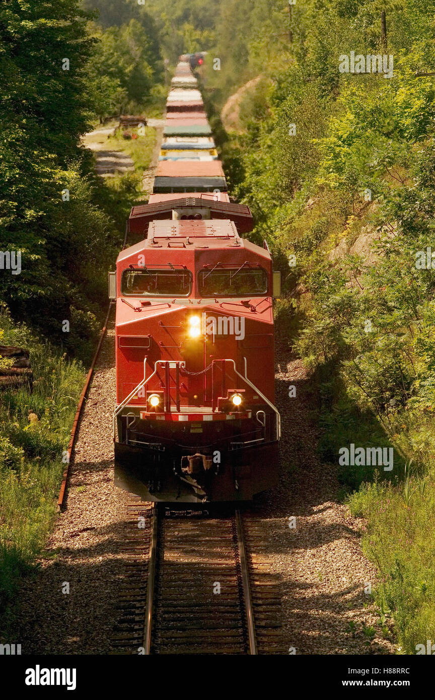 Treno merci Foto Stock