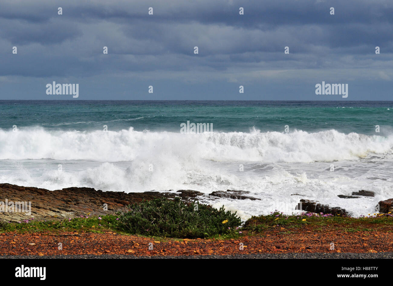 Il Sud Africa, alla guida del sud: spiaggia e vegetazione del Capo di Buona Speranza, roccioso promontorio sulla costa atlantica della penisola del Capo Foto Stock