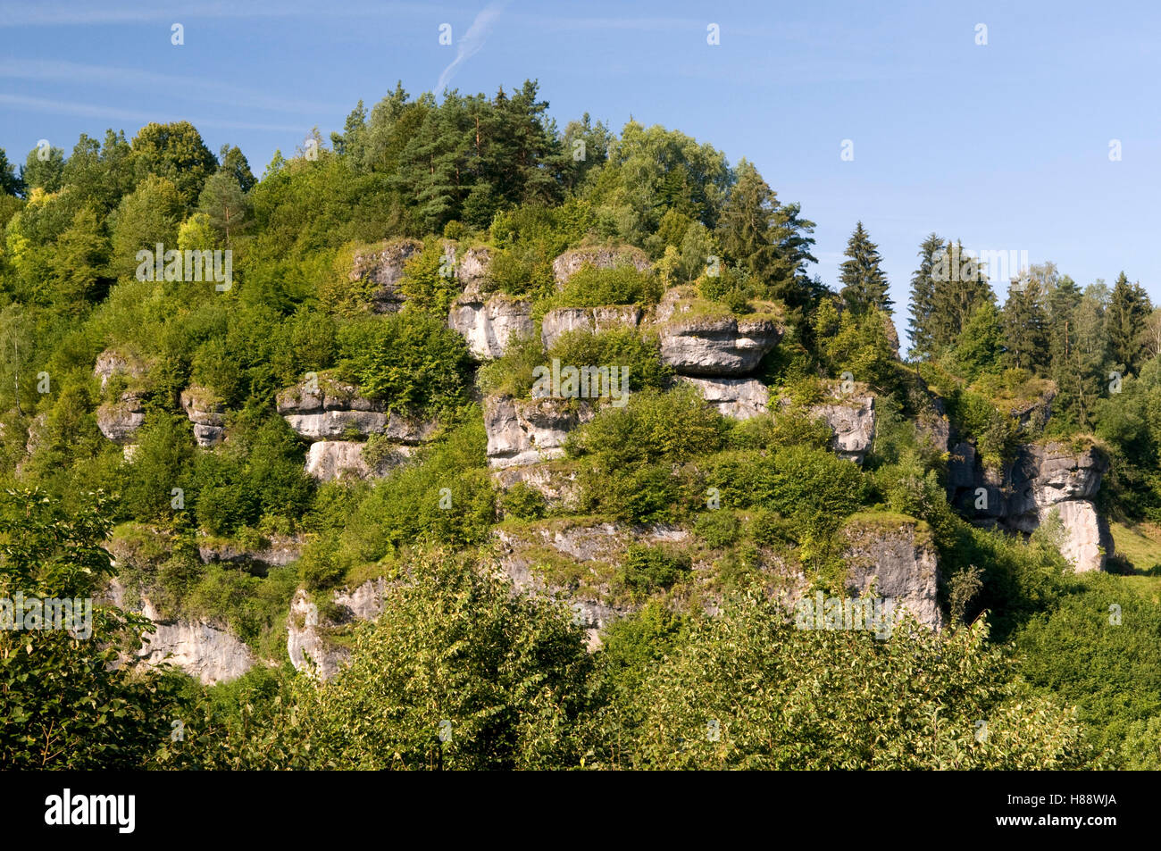 Ripide scogliere dominano il paesaggio nel Naturpark Fraenkische Schweiz Nature Preserve, Pottenstein, Franconia, Bavaria Foto Stock