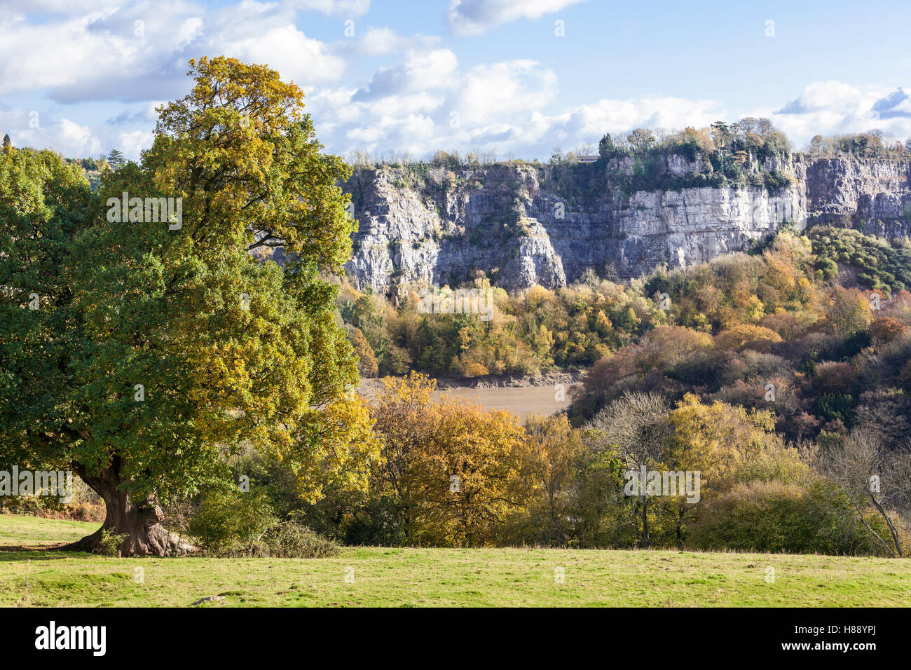 Autunno nella valle del Wye - le scogliere calcaree a Wintours Leap, GLOUCESTERSHIRE REGNO UNITO Foto Stock