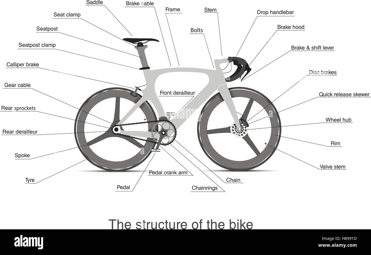 Una infografica delle principali parti della bici con i nomi Immagine e  Vettoriale - Alamy