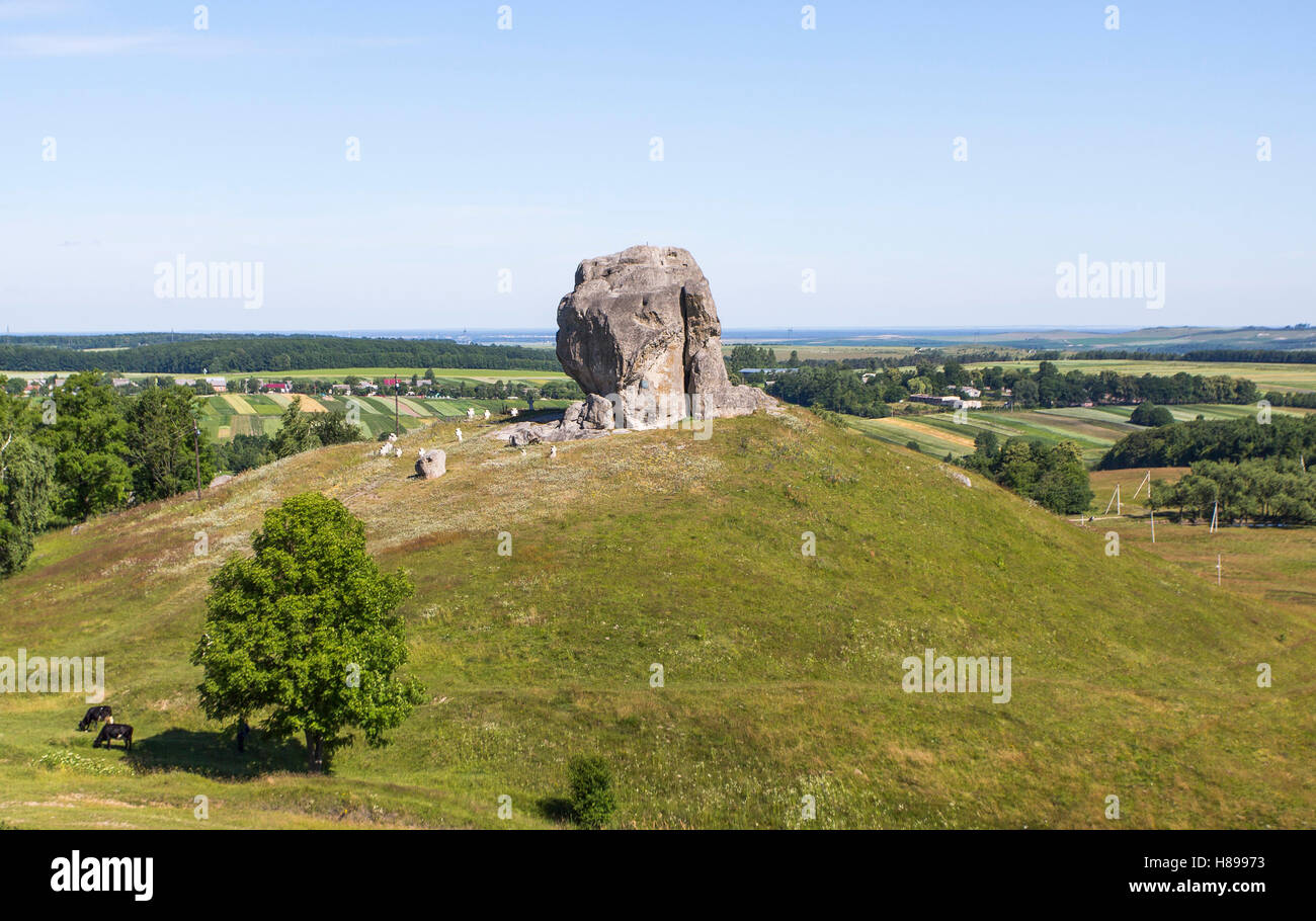 Enorme pietra, una meraviglia naturale in Pidkamin, Ucraina Foto Stock