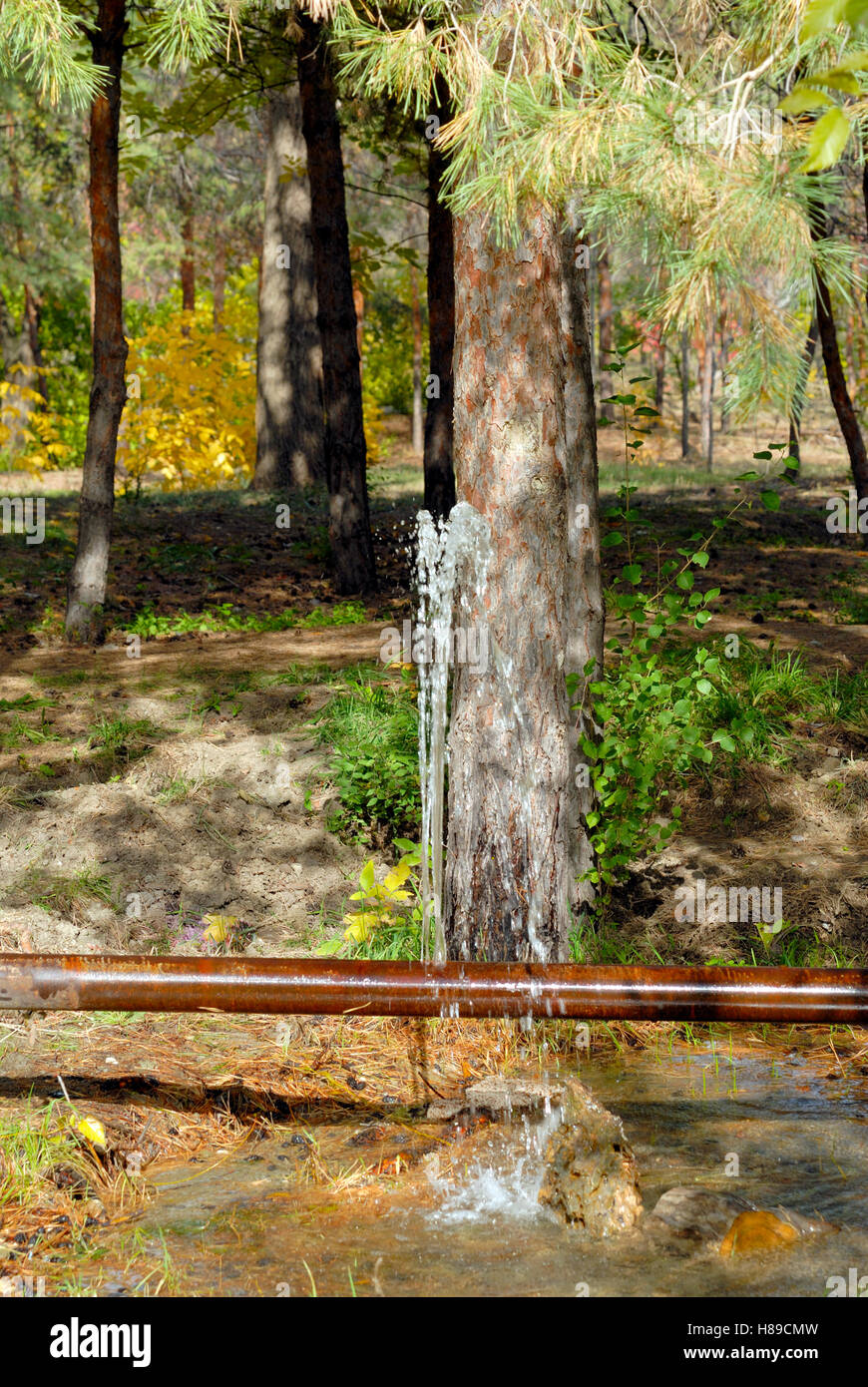 La perdita di acqua da una cricca in un vecchio tubo arrugginito Foto Stock