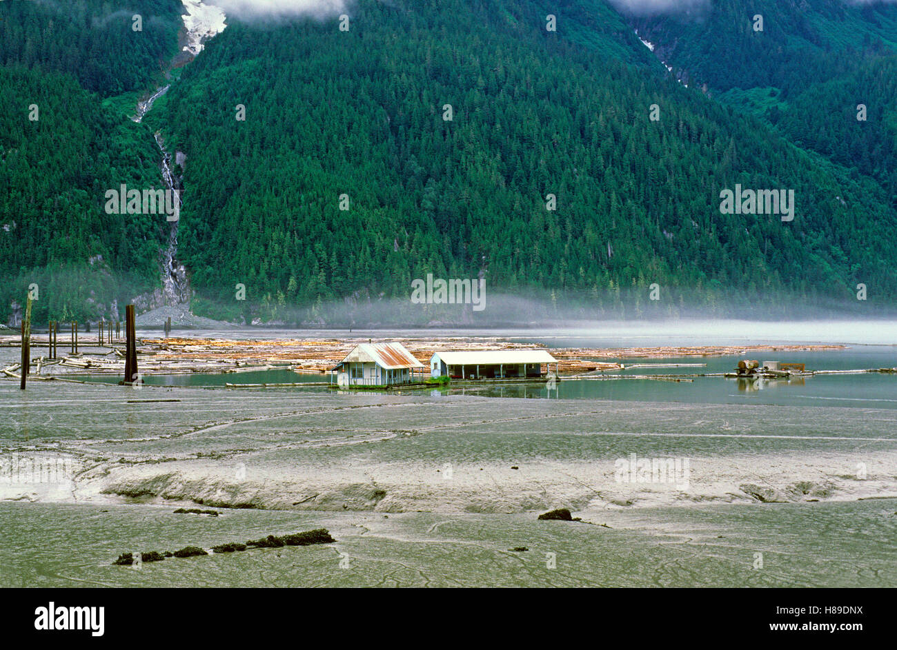 La bassa marea e le case galleggianti in Portland Canal vicino a Stewart (nelle vicinanze del confine con l'Alaska), British Columbia, Canada Foto Stock
