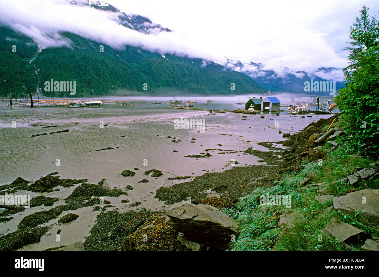 La bassa marea e le case galleggianti in Portland Canal vicino a Stewart (nelle vicinanze del confine con l'Alaska), British Columbia, Canada Foto Stock