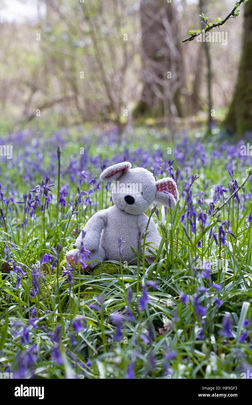 Bambino giocattolo morbido seduta del mouse tra i bluebells. Foto Stock