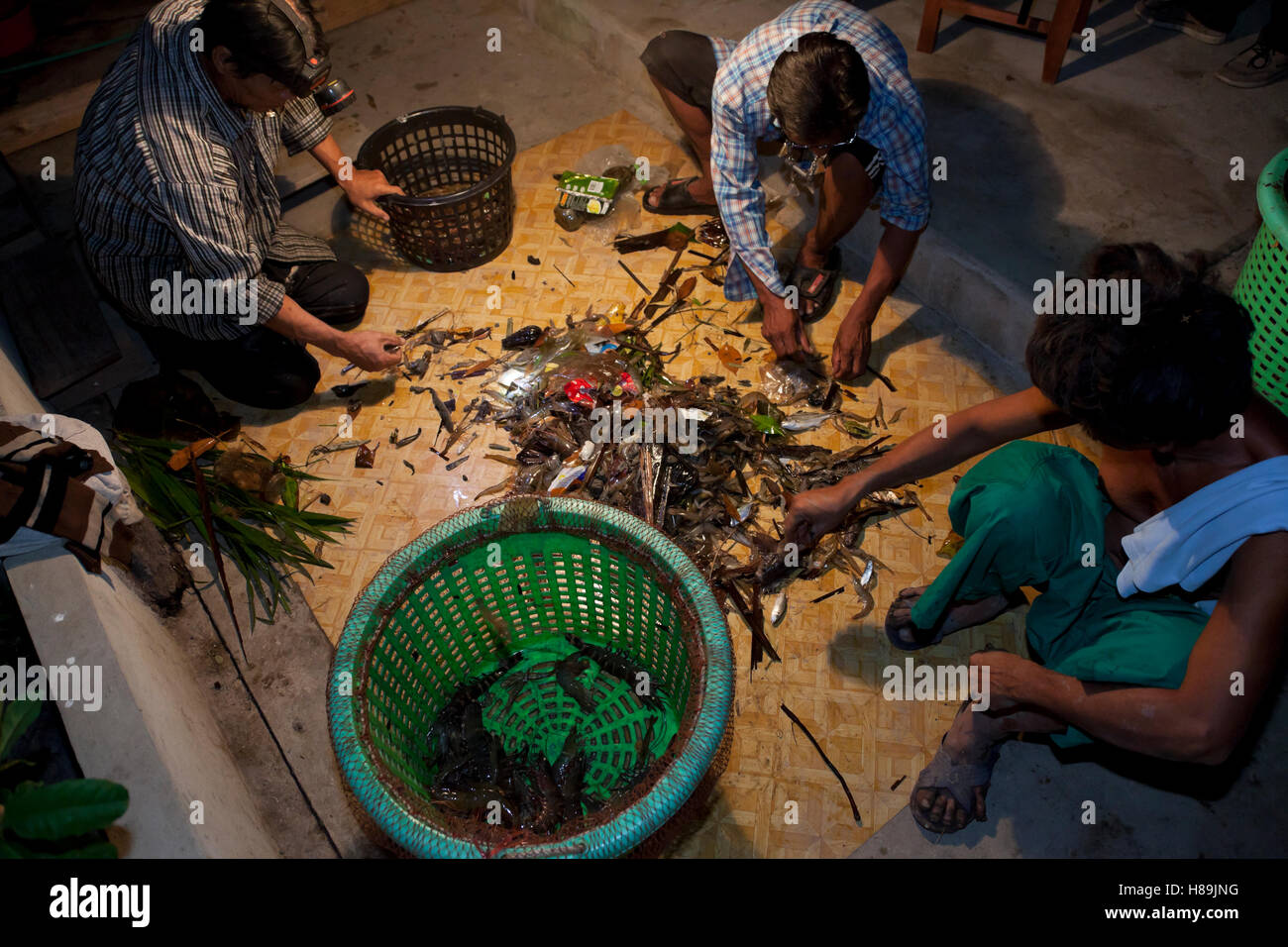 I lavoratori agricoli di smistamento di gamberi dopo la raccolta di gamberi maturo a un organico boreale agriturismo a Samut Prakan in Thailandia. Foto Stock