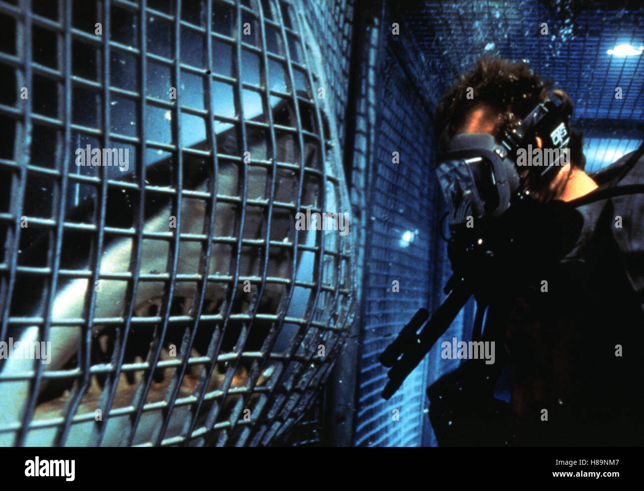 Mare blu profondo, (DEEP BLUE SEA) USA 1999, Regie: Renny Harlin, Szene, Stichwort: Hai Foto Stock