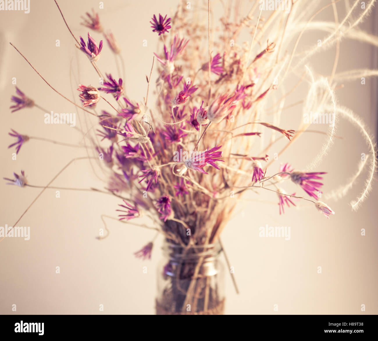 Viola bouquet di fiori in fatto a mano vaso isolato su bianco. Cartolina dettagli decorativi. Tonica con un vecchio stile morbido colori seppia. Foto Stock