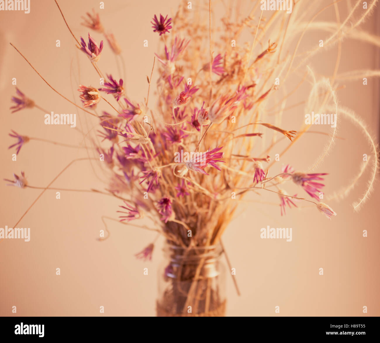 Viola bouquet di fiori in fatto a mano vaso isolato su bianco. Cartolina dettagli decorativi. Tonica con un vecchio stile morbido colori seppia. Foto Stock