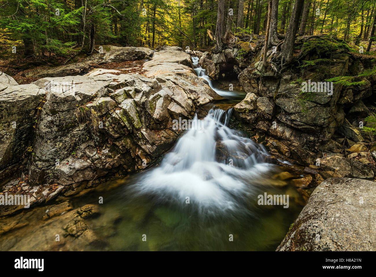 Cascata presso il bacino in Franconia State Park, New Hampshire, Stati Uniti d'America. Foto Stock