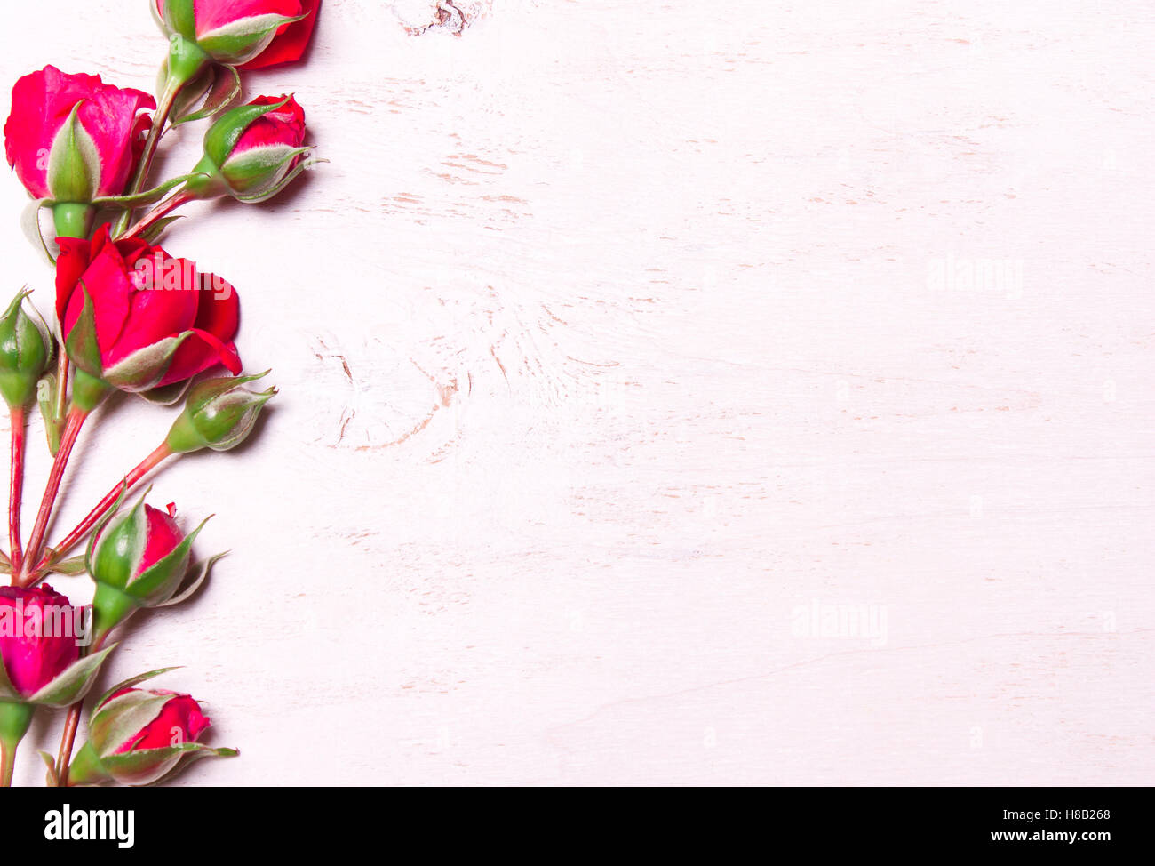 Rose rosse su un bianco sullo sfondo di legno. La composizione di fiori. Vista da sopra. Foto Stock