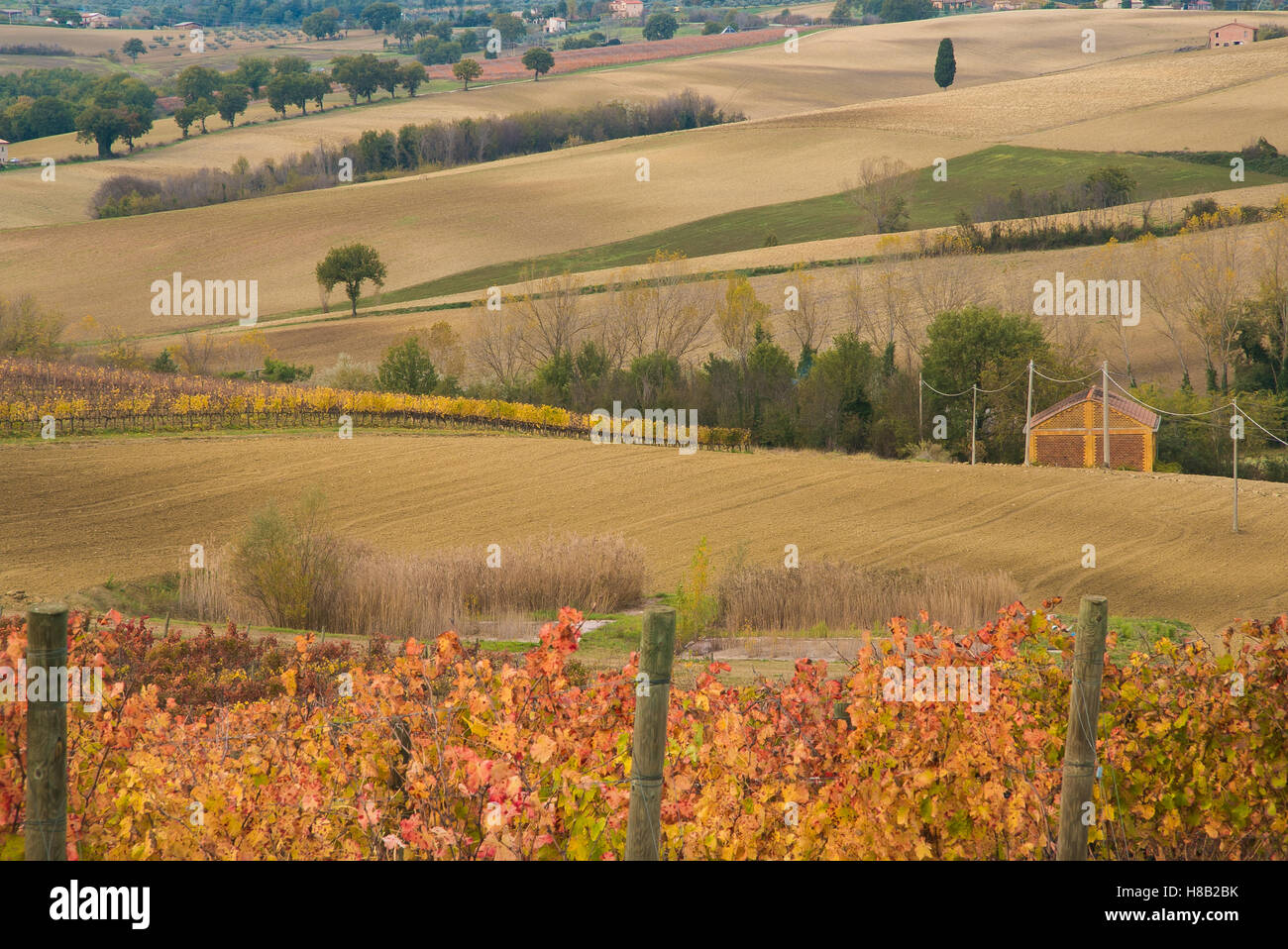 Campagna autunno nella regione Umbria, Italia Foto Stock