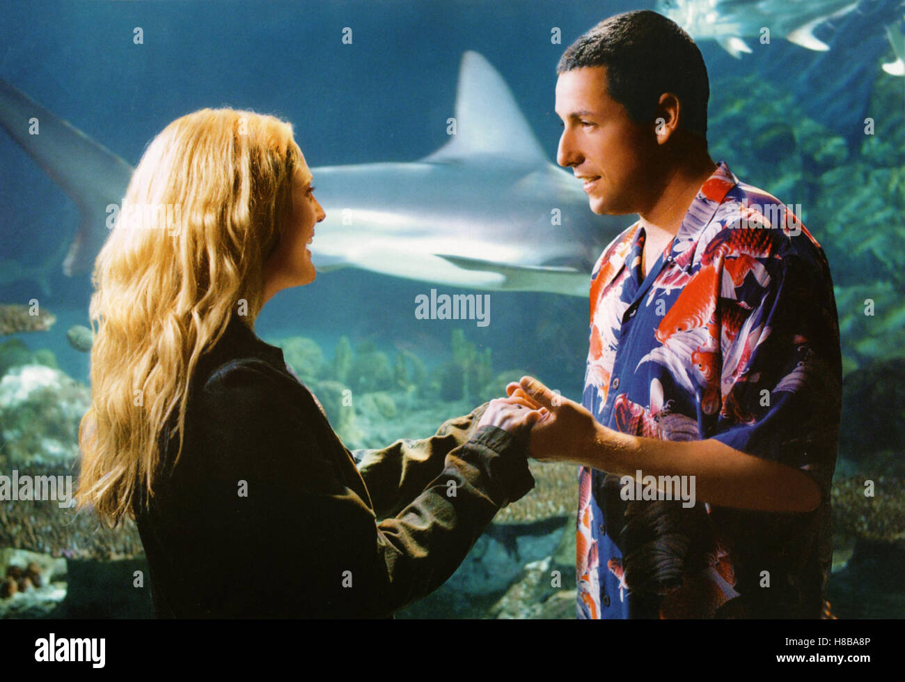 50 erste date, (50 Prima date) USA 2004, Regie: Peter Segal, Drew Barrymore, Adam Sandler, Chiave: Aquarium, Haifisch, Paar, Foto Stock