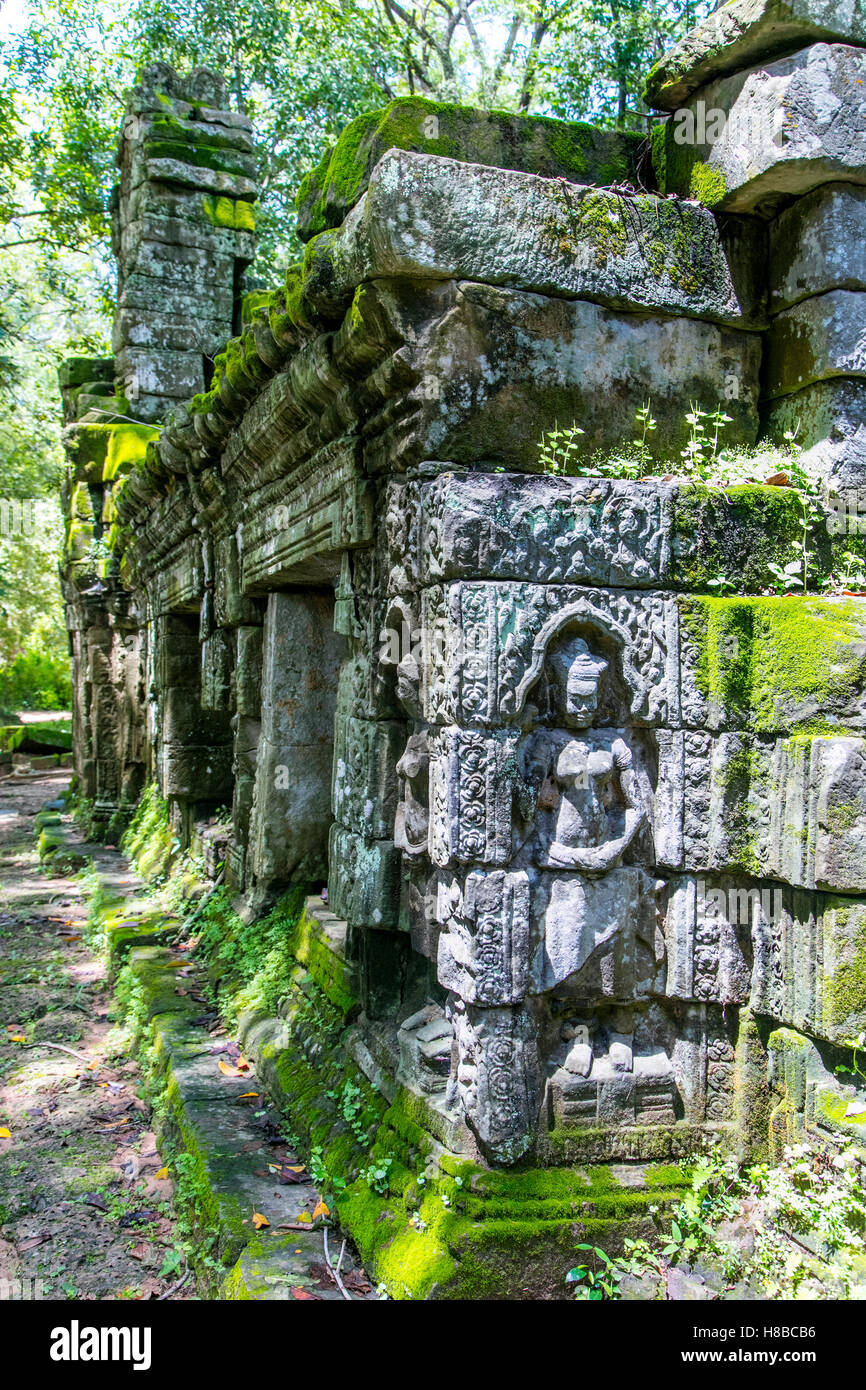 Ta Prohm, Angkor, Cambogia Foto Stock