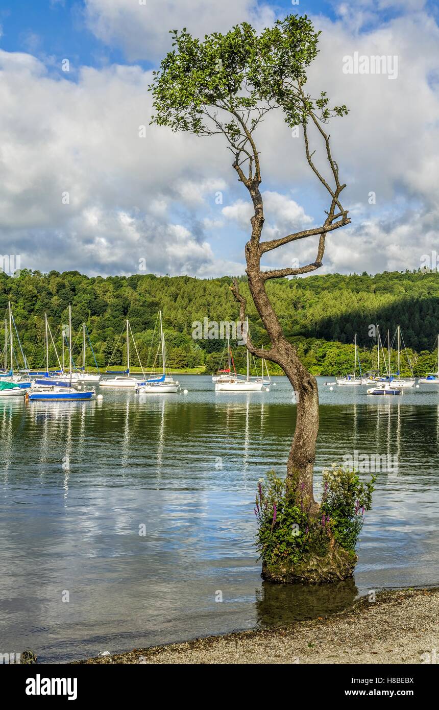 Lago di Windermere a Bowness Foto Stock