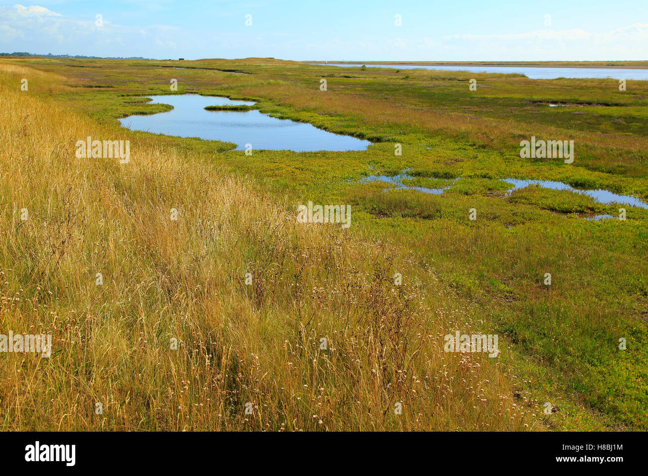 Fiume sale minerale di palude e di Orford Ness allo spiedo, Simpsons Saltings, Hollesley, Suffolk, Inghilterra, Regno Unito Foto Stock