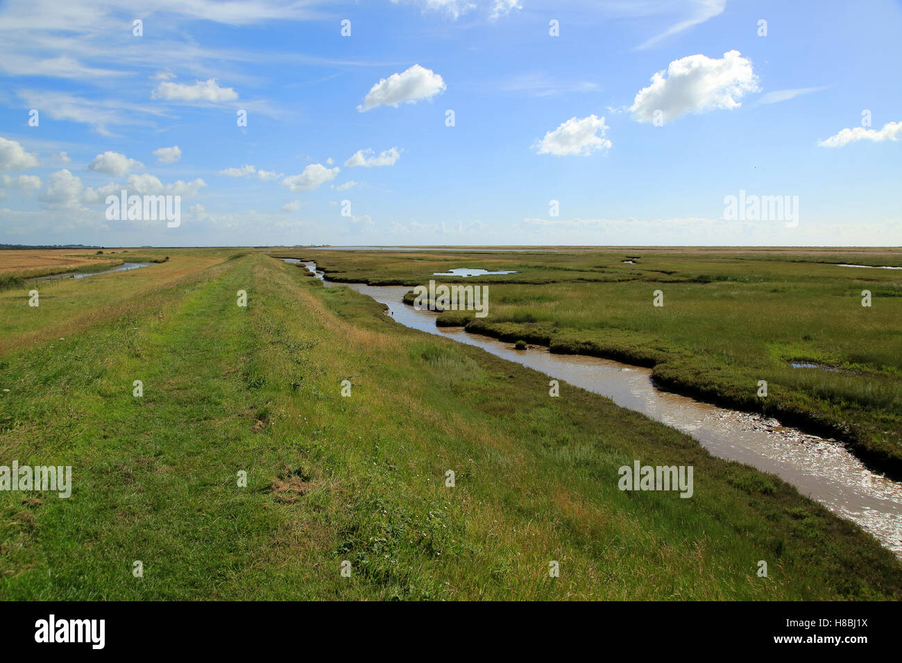 Fiume sale minerale marsh costiero alluvione banca per la difesa e il sentiero, guardando verso la strada di ciottoli, Hollesley, Suffolk, Inghilterra, Regno Unito Foto Stock