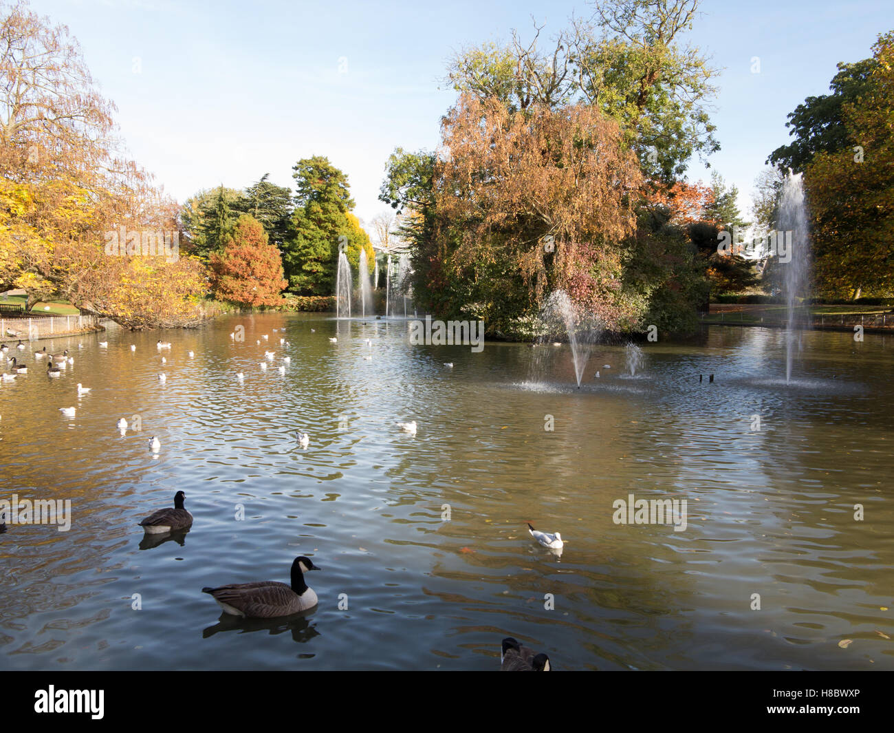 Jephson gardens, leamington spa Foto Stock