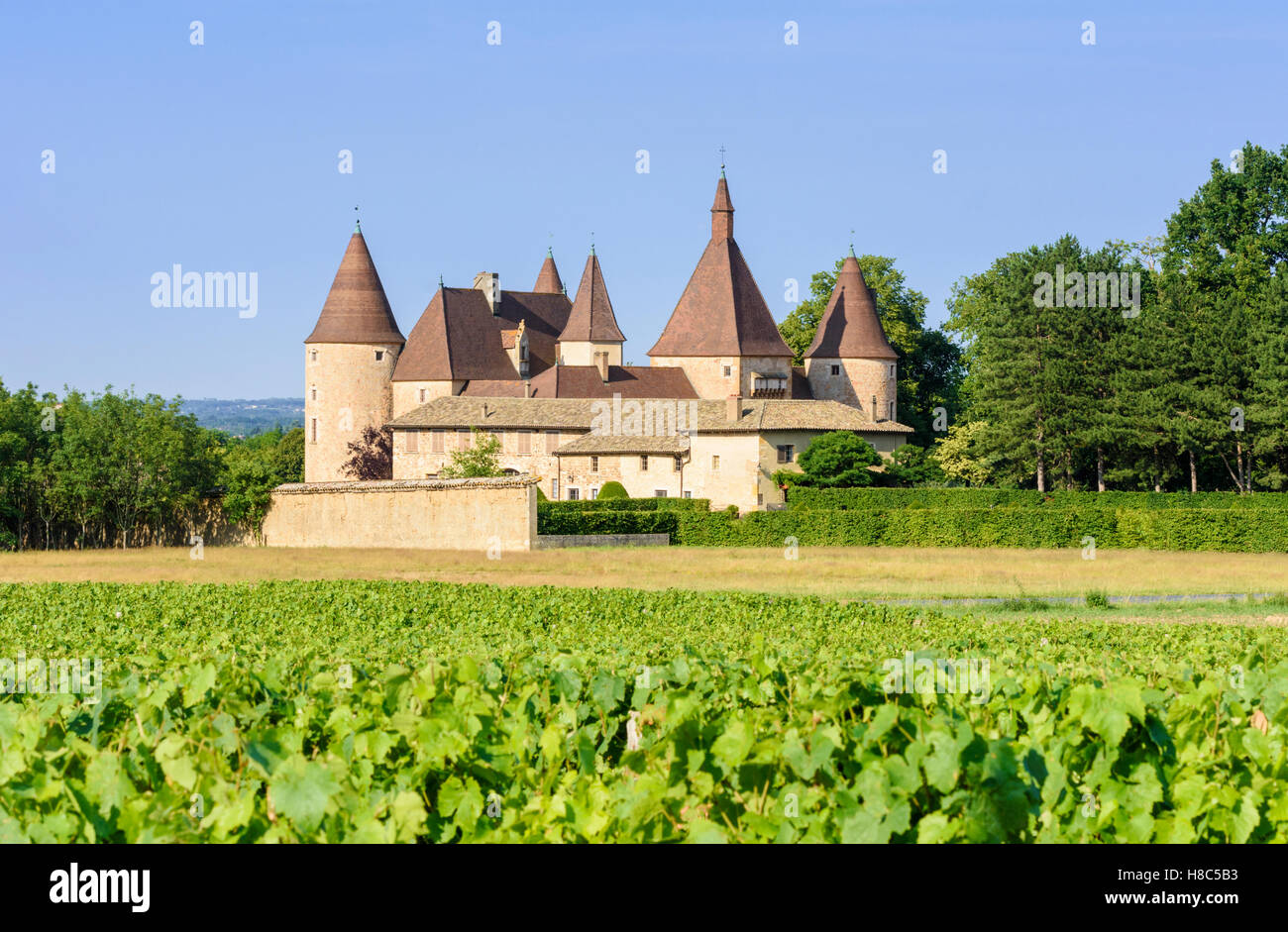 Vigneti attorno al castello medievale de Corcelles-en-Beaujolais, Corcelles-en-Beaujolais, Rhône, Francia Foto Stock