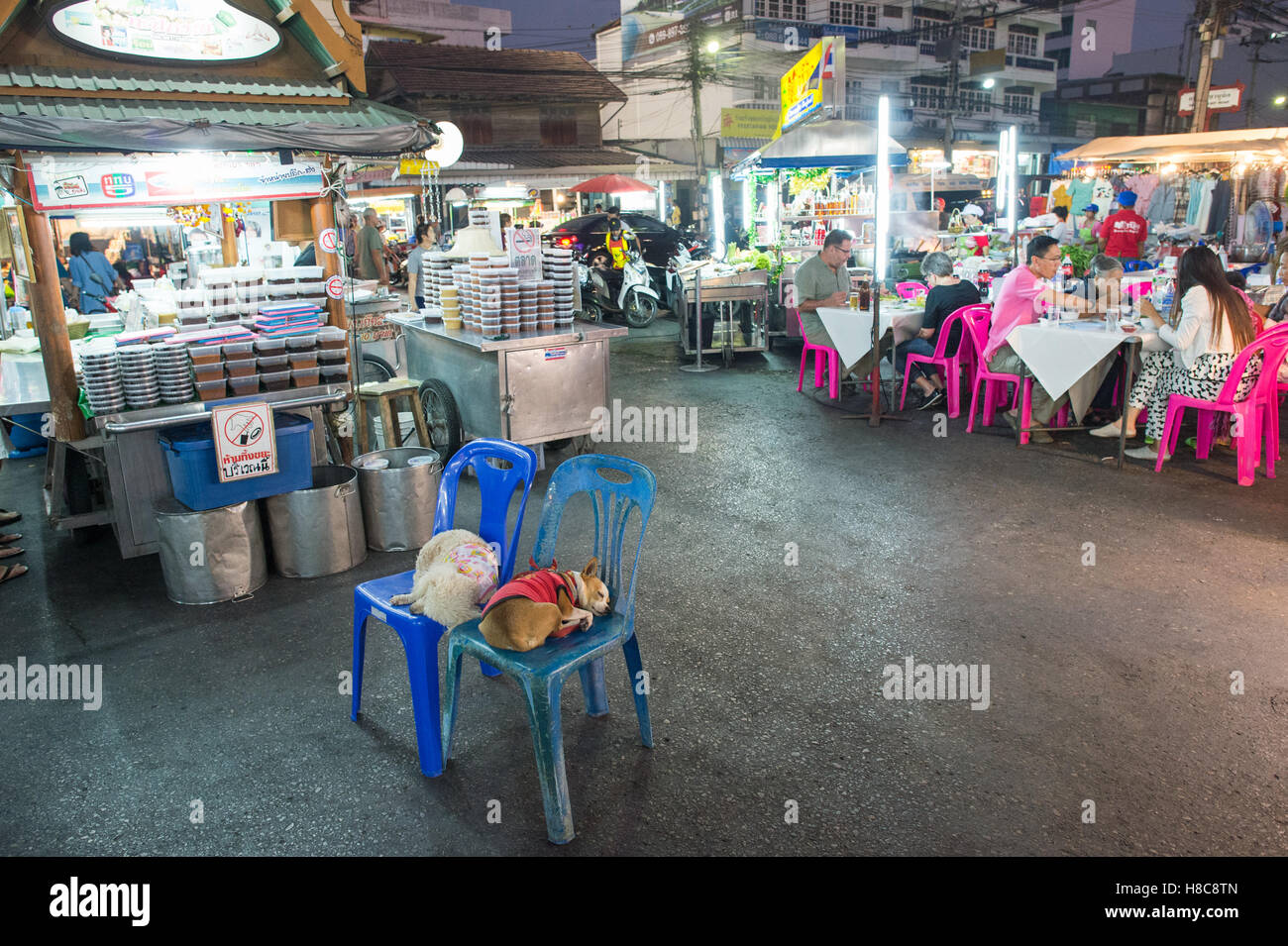 Cani a dormire il mercato notturno di Hua Hin, Thailandia Foto Stock