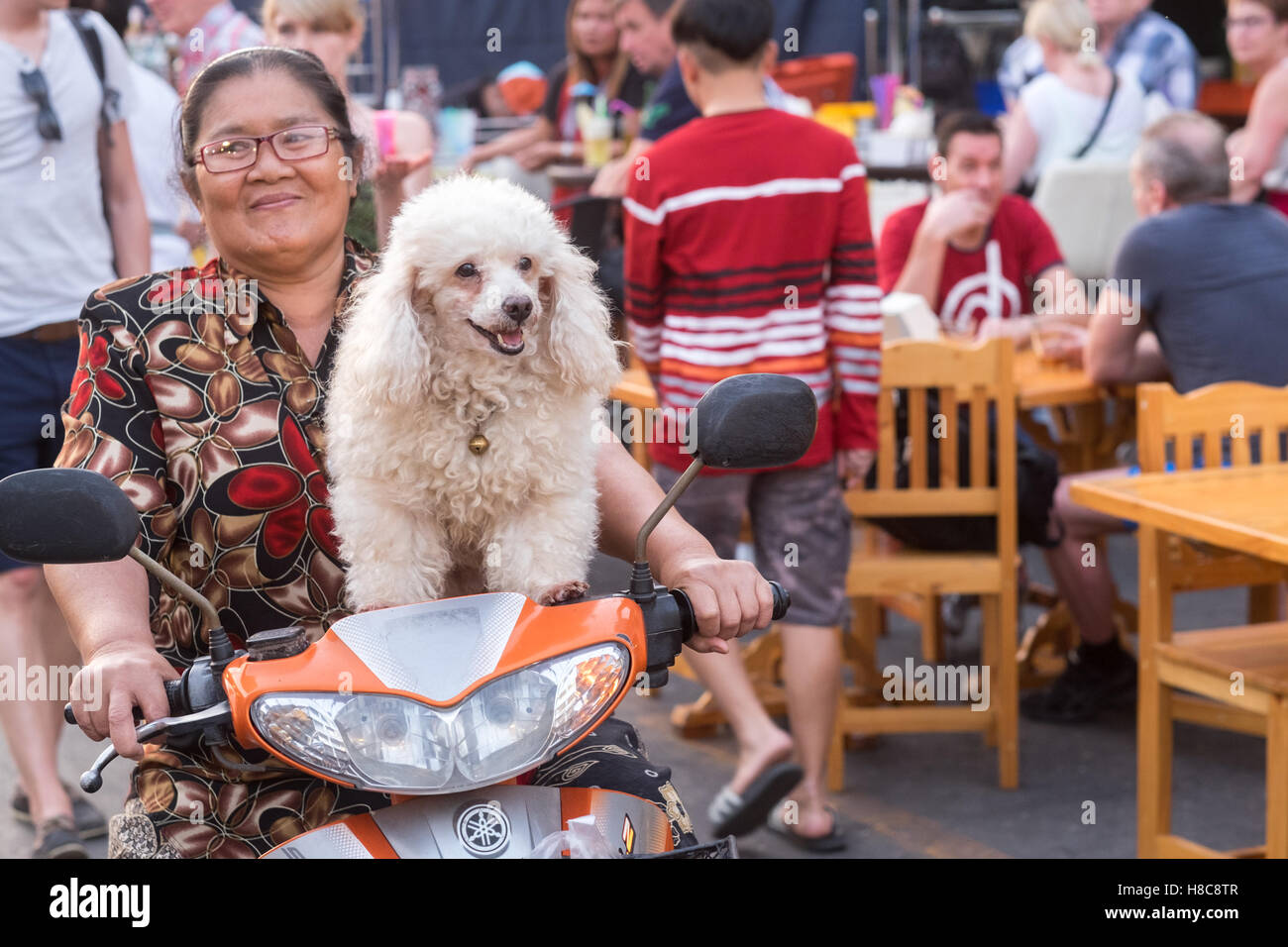 Tailandese di equitazione donna con cane su uno scooter al mercato notturno di Hua Hin, Thailandia Foto Stock