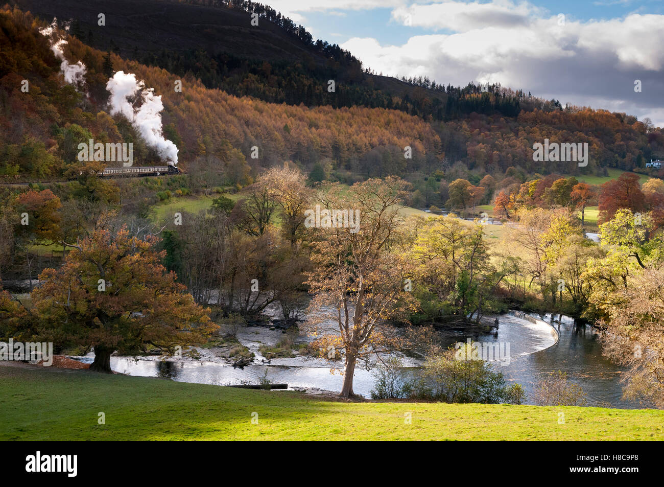 Fiume Dee a Llangollen Denbighshire North Wales. I colori autunnali e foglie degli alberi. Cascate Horseshoe. Foto Stock