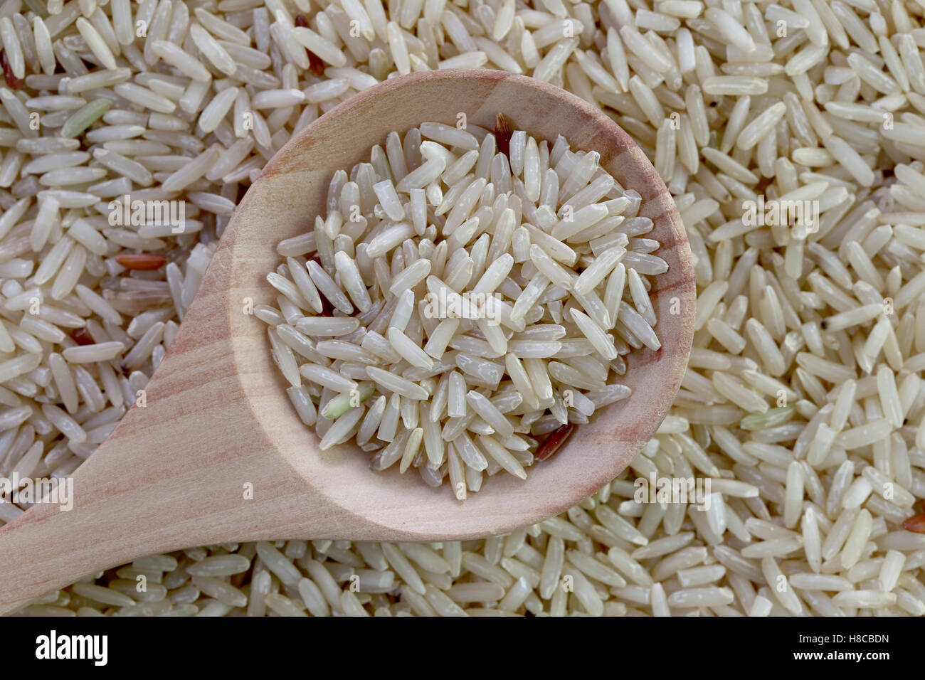 Organica marrone del riso in cucchiaio di legno per natura sfondo alimentare,chicco di riso è curculione di insetti mordono mangiare e danneggiarsi. Foto Stock