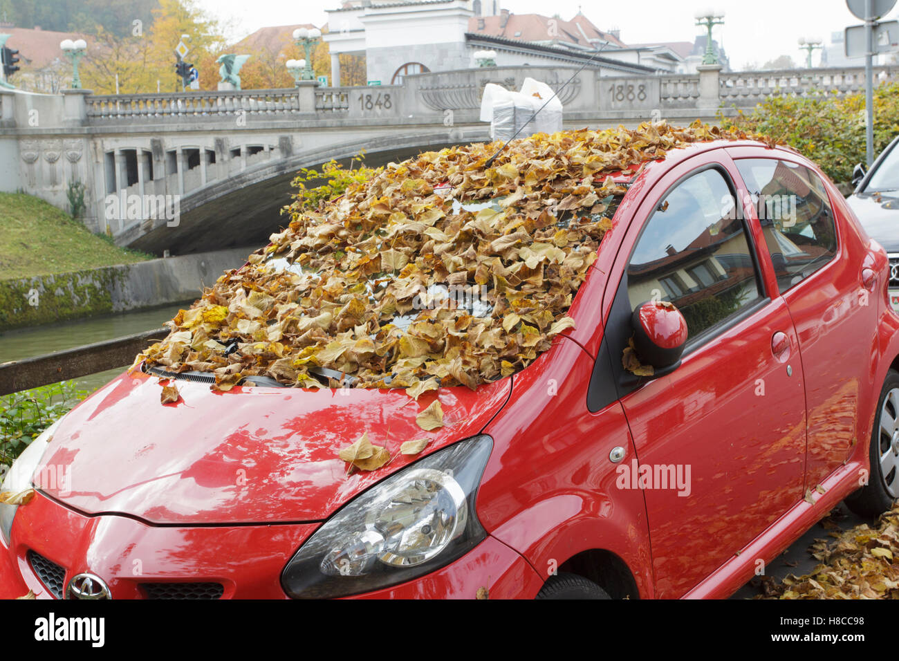 Macchina parcheggiata, parabrezza e padiglione coperto in caduta foglie di autunno, dal fiume Ljublianca, vicino 'Dragon ponte", Lubiana, Slovenia, Ottobre Foto Stock