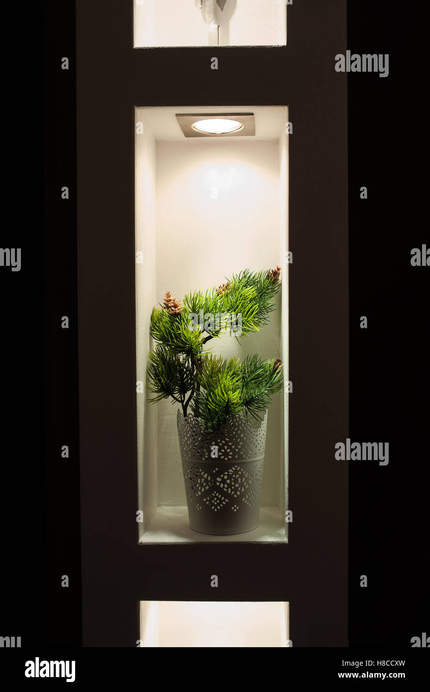 Ramo di pino con i coni in un vaso Foto Stock