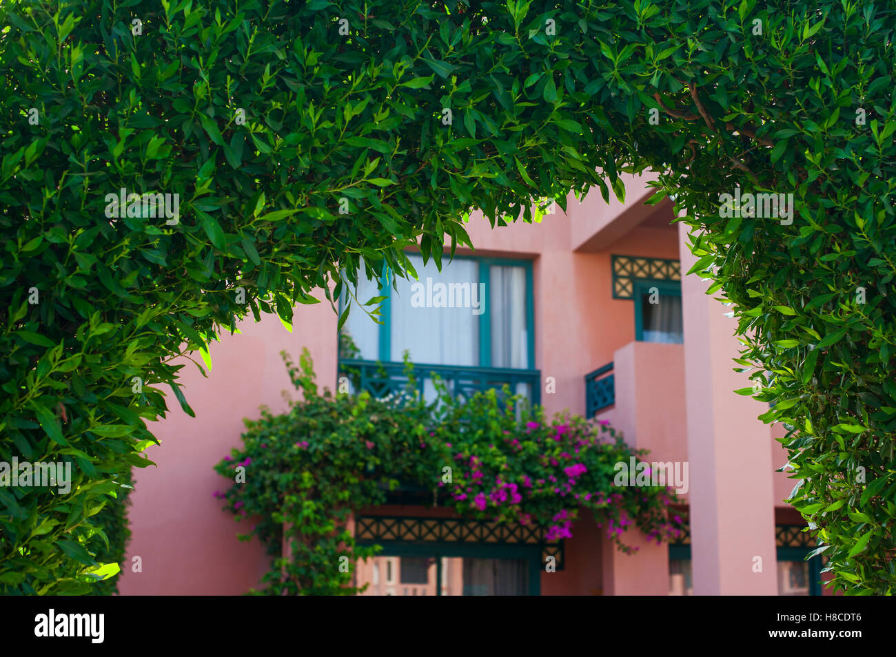 Verde arco decorativo di piante Foto Stock