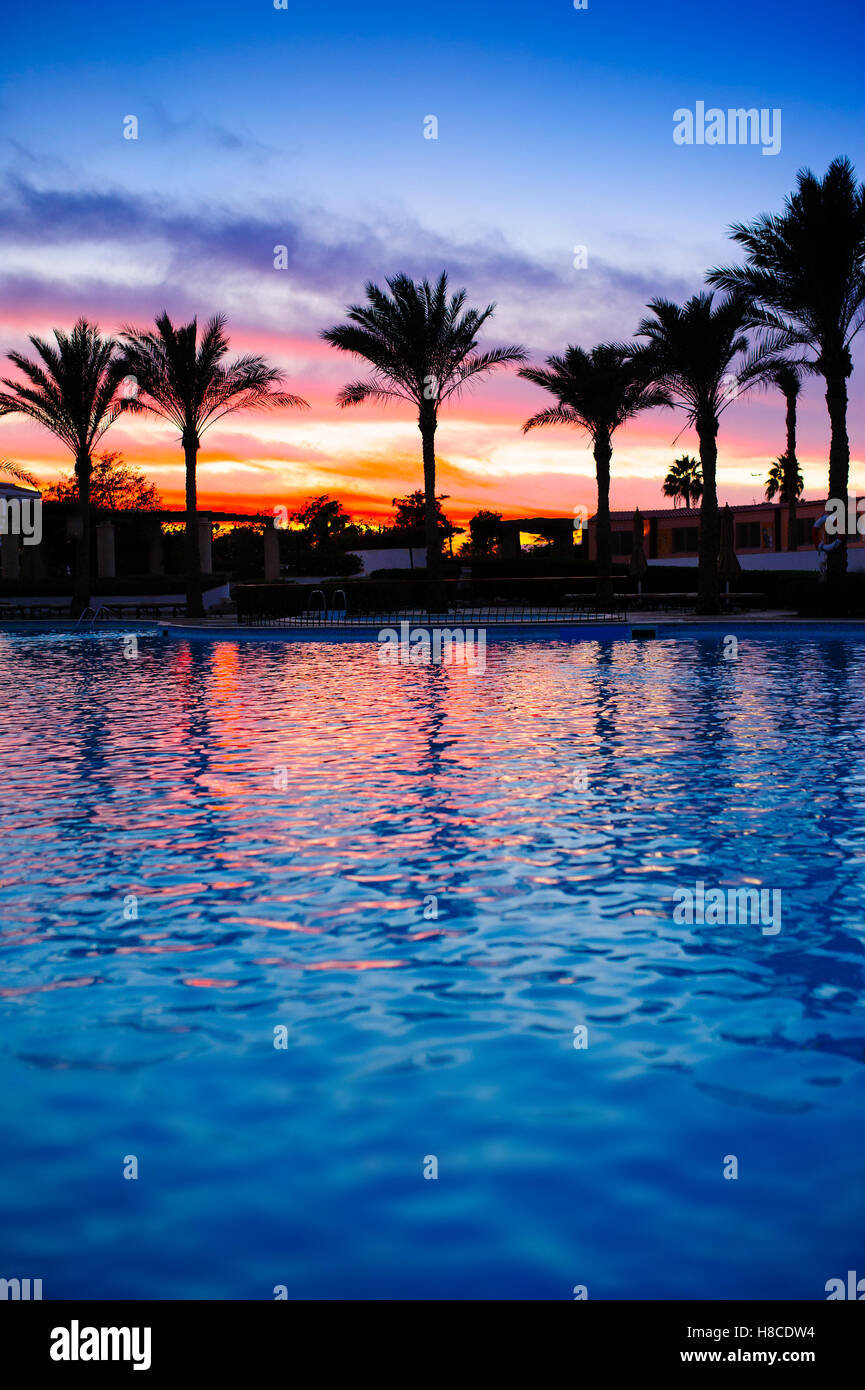 Palme vicino alla piscina al tramonto Foto Stock