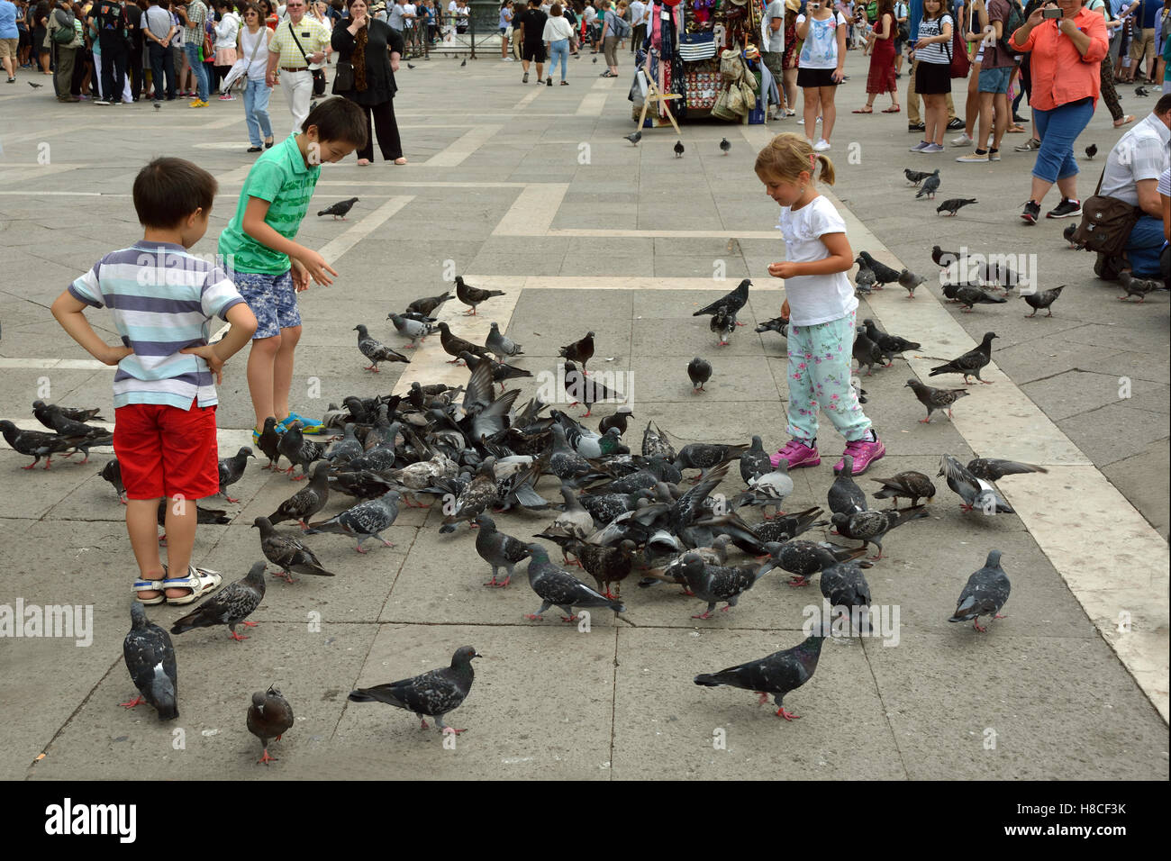 Piccioni e bambini su Piazza San Marco di Venezia in Italia. Foto Stock
