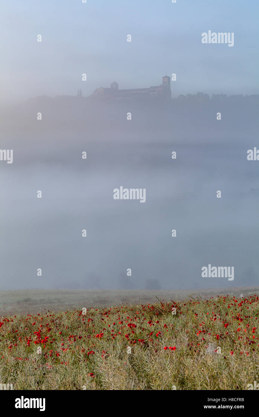 Una nebbiosa e la nebbia di mattina ladden a Vezelay nel Yonne area di Borgogna. Foto Stock