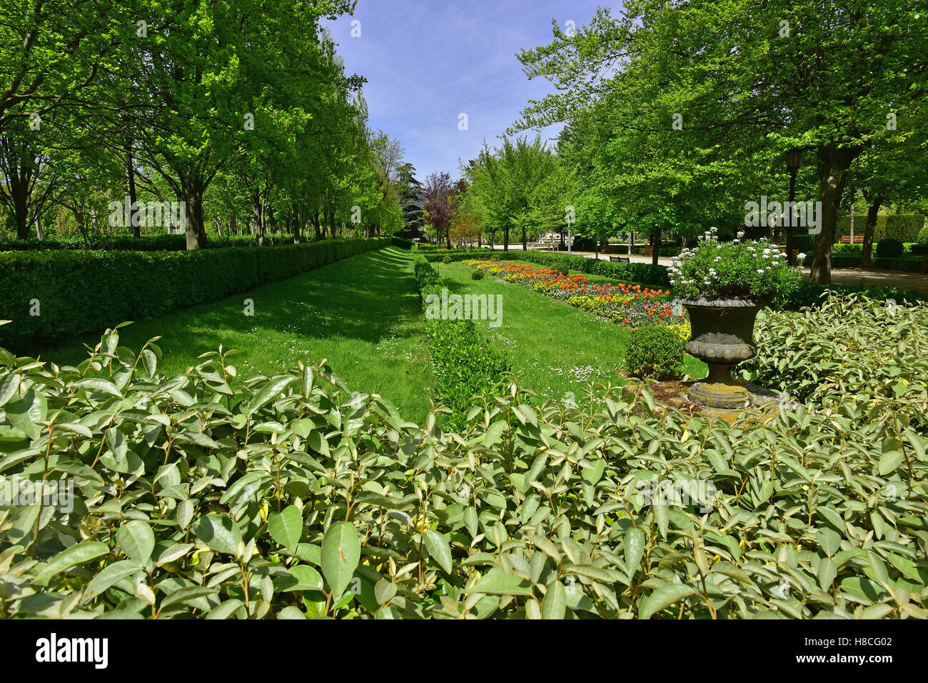 Siepi di letto di fiori nel parco Taconera Pamplona, Spagna Foto Stock