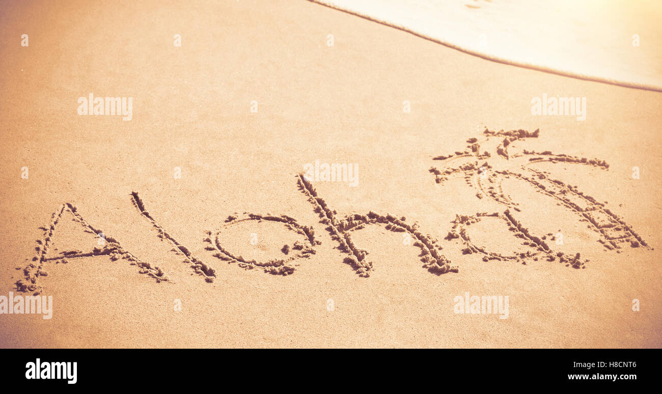 Aloha testo scritto con Palm tree sulla sabbia Foto Stock