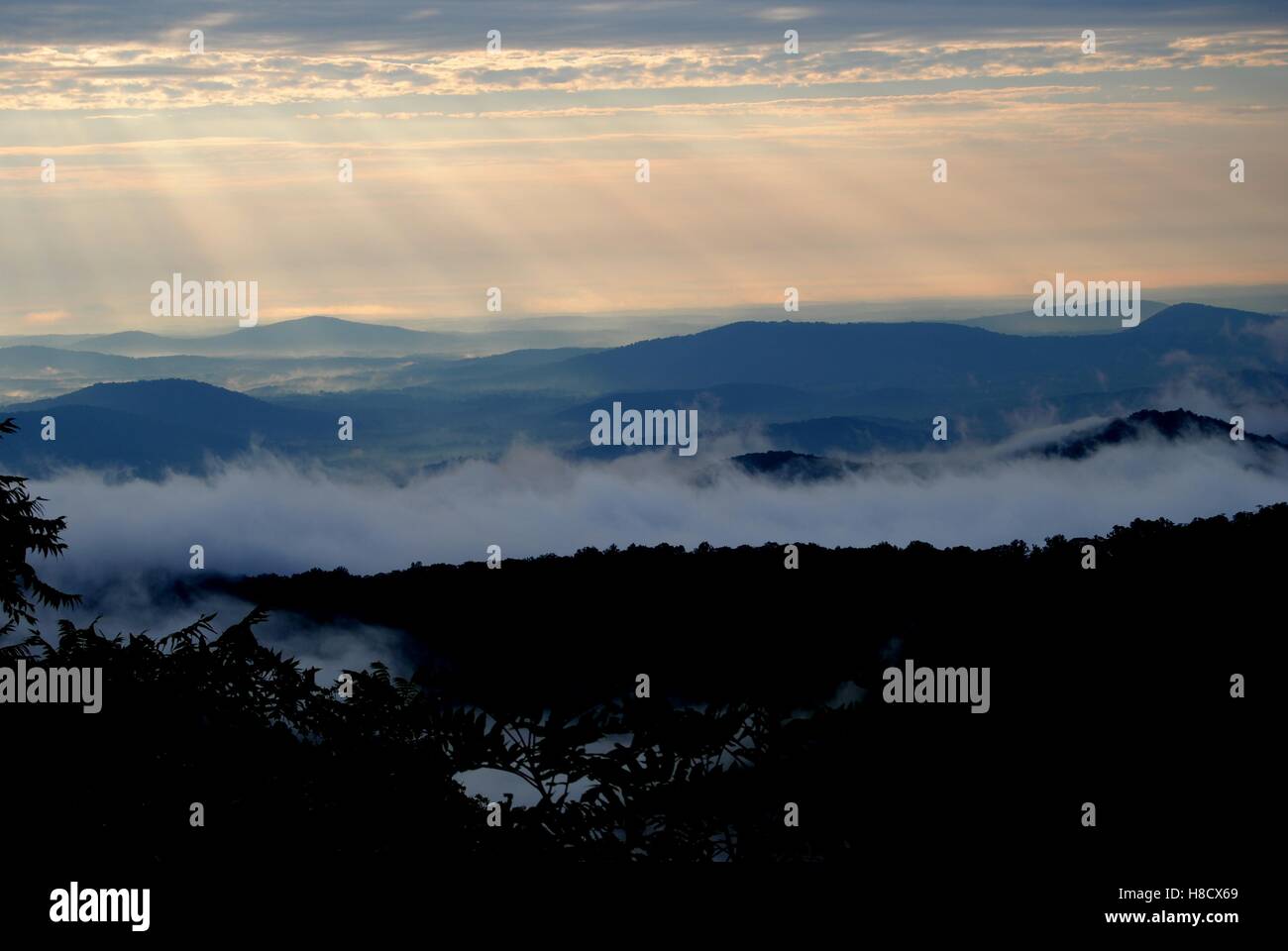 Nebbia di mattina tra le Blue Ridge Mountains in sbalorditive Skyline Drive Foto Stock
