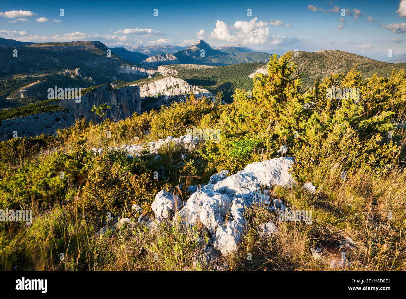 Gorges du Verdon, Parc Naturel Regional du Verdon, Verdon Parco Naturale Regionale, Provenza, Provence-Alpes-Côte d'Azur, in Francia Foto Stock