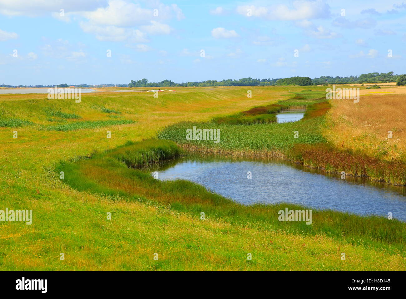Fiume sale minerale marsh costiero alluvione banca per la difesa e il sentiero, Boyton, Suffolk, Inghilterra, Regno Unito Foto Stock