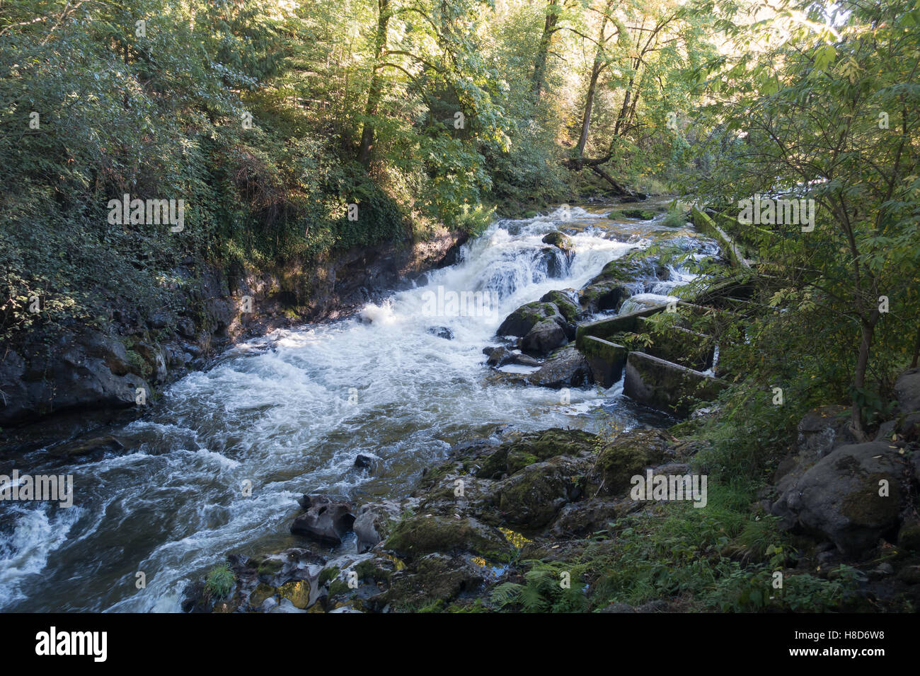 Una vista del fiume Deschutes e una scaletta di pesce. Foto Stock