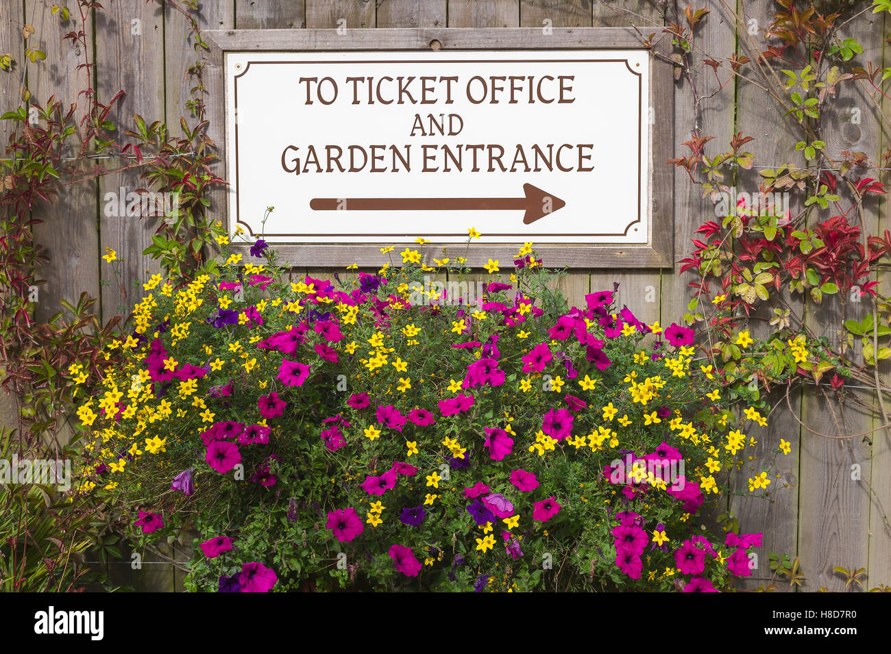 Parete floreale con un preavviso che mostrano la direzione di Heligan gardens e del punto di ingresso Foto Stock