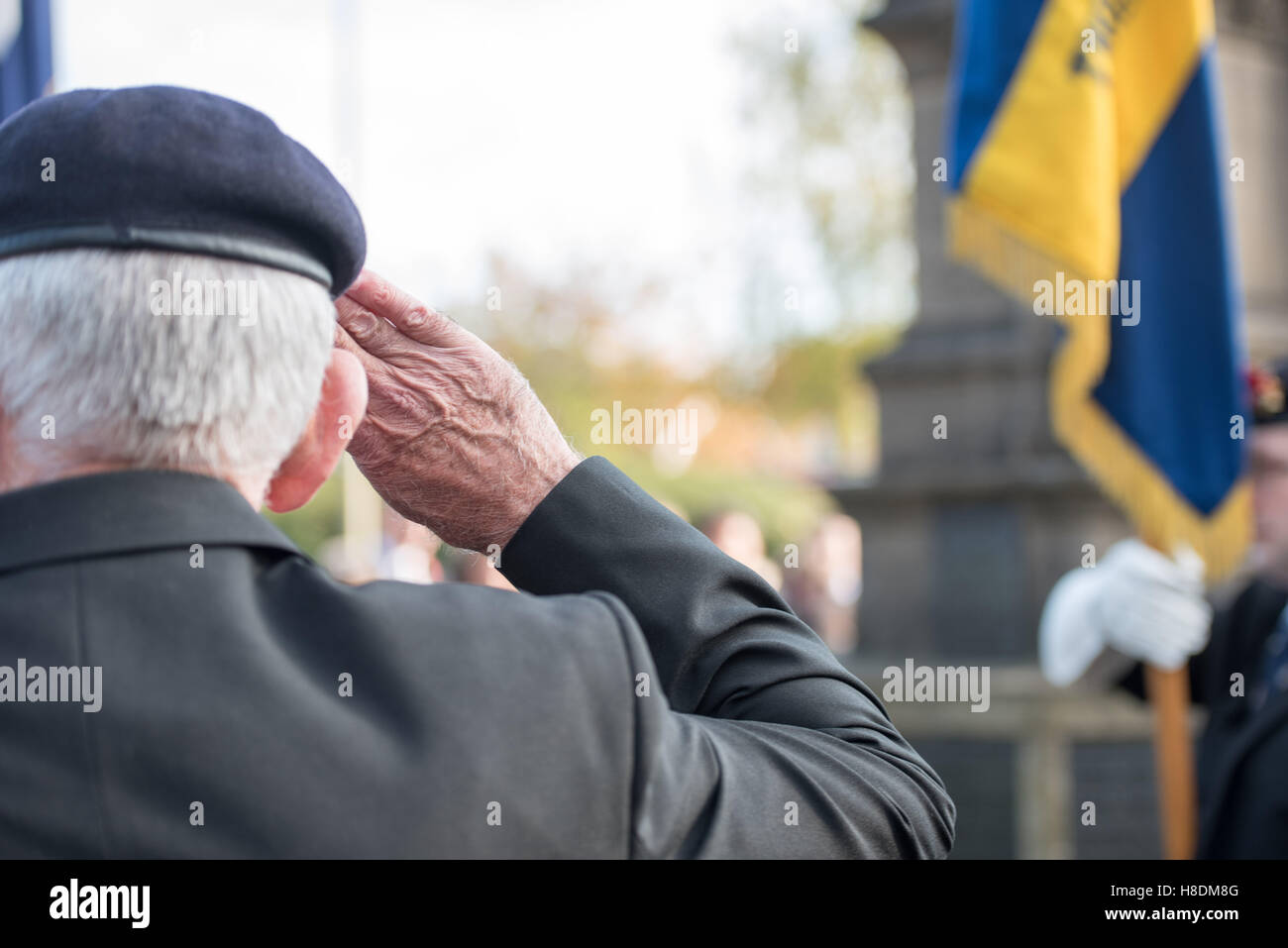 Brentwood, Essex, 11 novembre 2016, British Legion officer saluta,, il giorno dell'Armistizio in Brentwood, Essex Credit: Ian Davidson/Alamy Live News Foto Stock