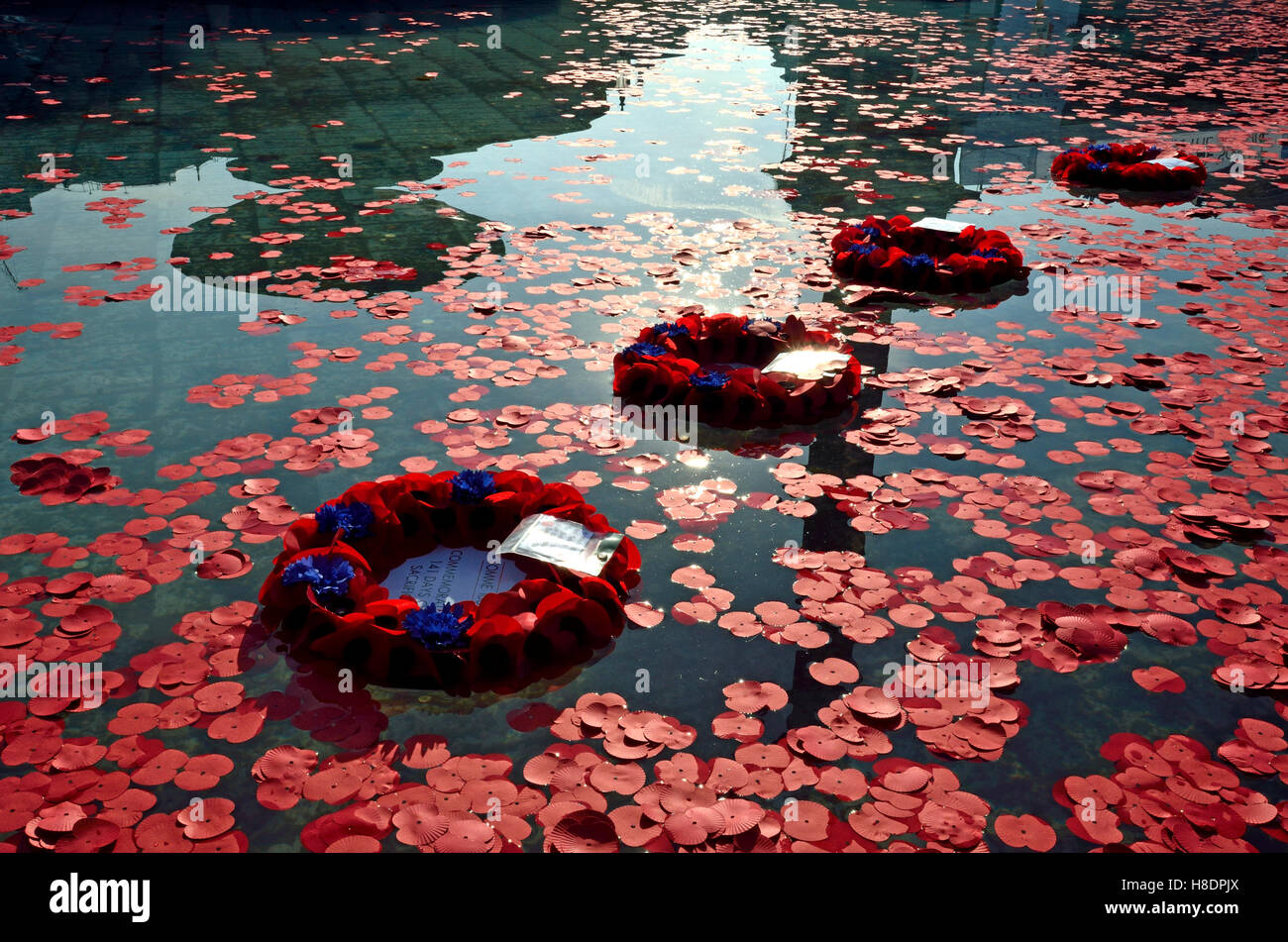 Londra, Regno Unito. 11 Novembre, 2016. Papaveri prevista per commemorare il giorno dell'Armistizio - corone di fiori galleggianti in fontane, Trafalgar Square Credit: PjrNews/Alamy Live News Foto Stock